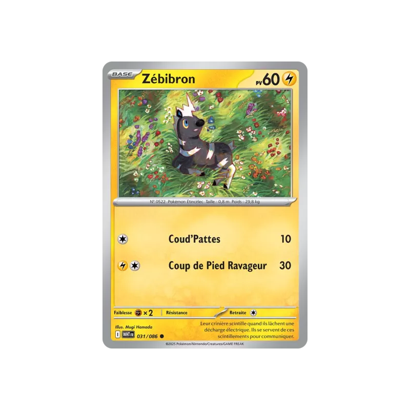 Zébibron WHT - 031/086