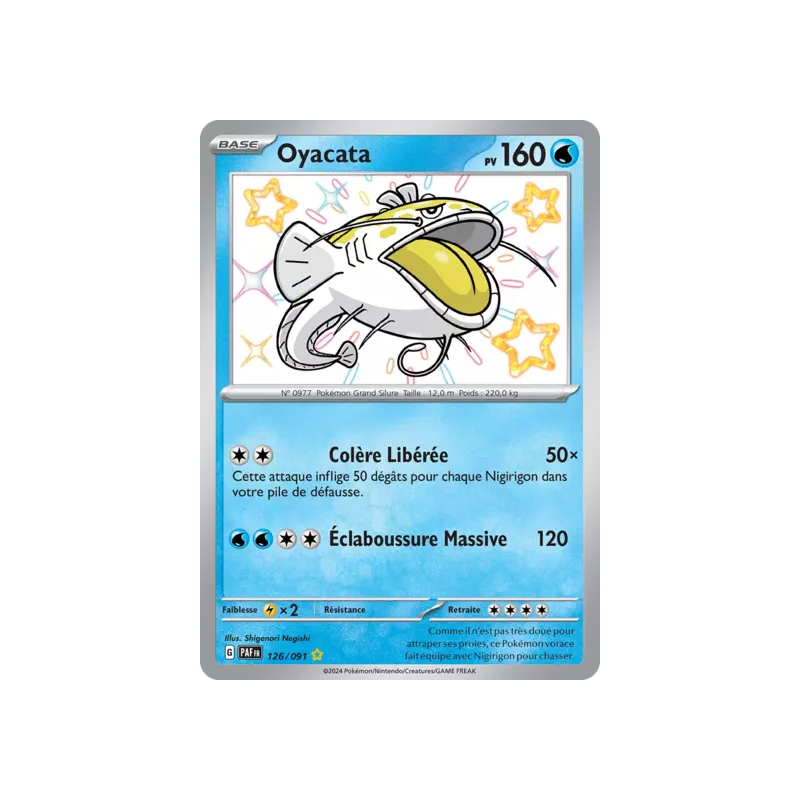 Oyacata PAF - 126/091