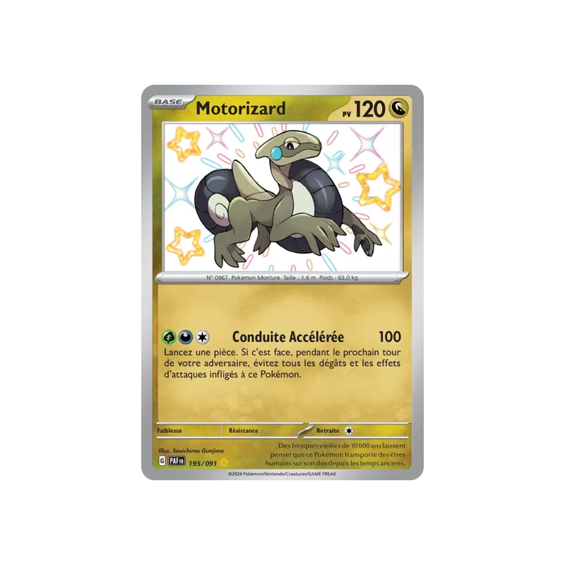 Motorizard PAF - 195/091