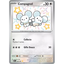 Compagnol PAF - 209/091