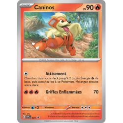 Caninos SV024