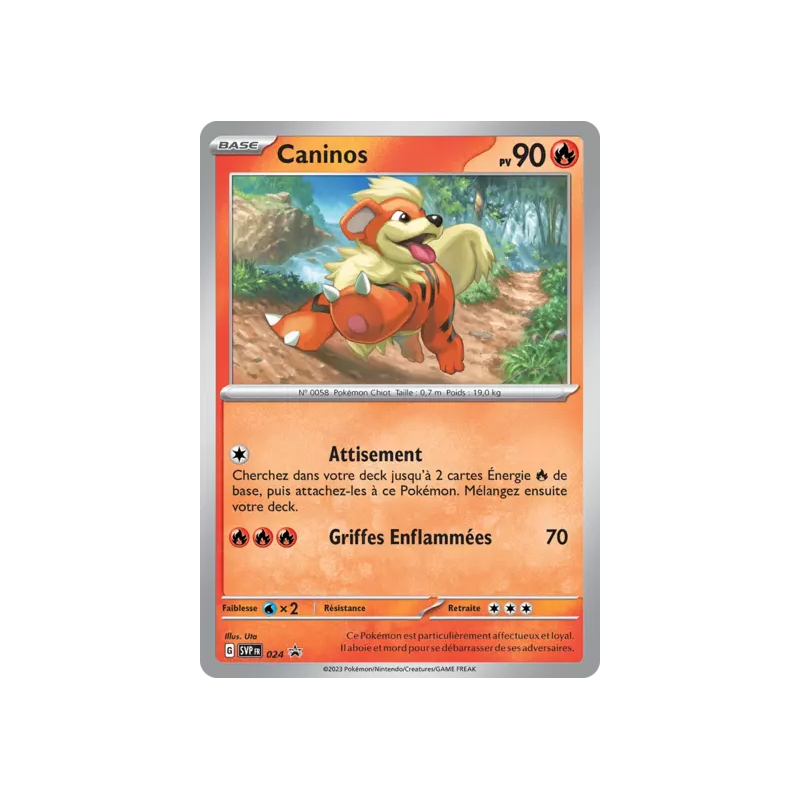 Caninos SV024