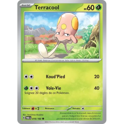 Terracool PAR - 016/182