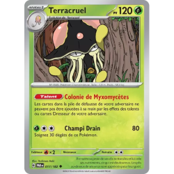 Terracruel PAR - 017/182