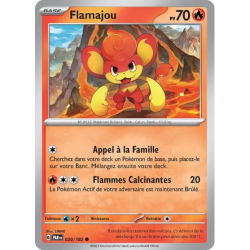 Flamajou PAR - 020/182