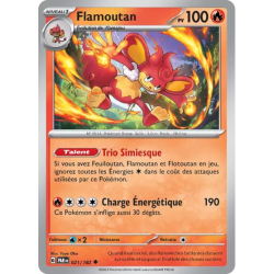 Flamoutan PAR - 021/182