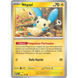 Négapi PAR - 061/182