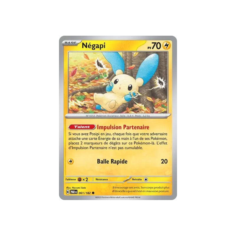 Négapi PAR - 061/182