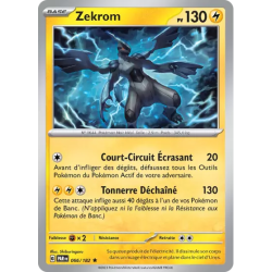 Zekrom PAR - 066/182