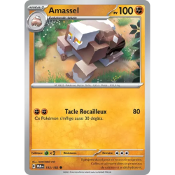 Amassel PAR - 103/182