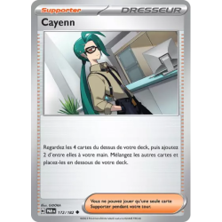 Cayenn PAR - 172/182