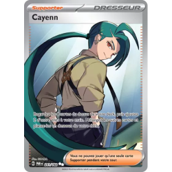 Cayenn PAR - 241/182