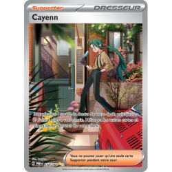Cayenn PAR - 258/182
