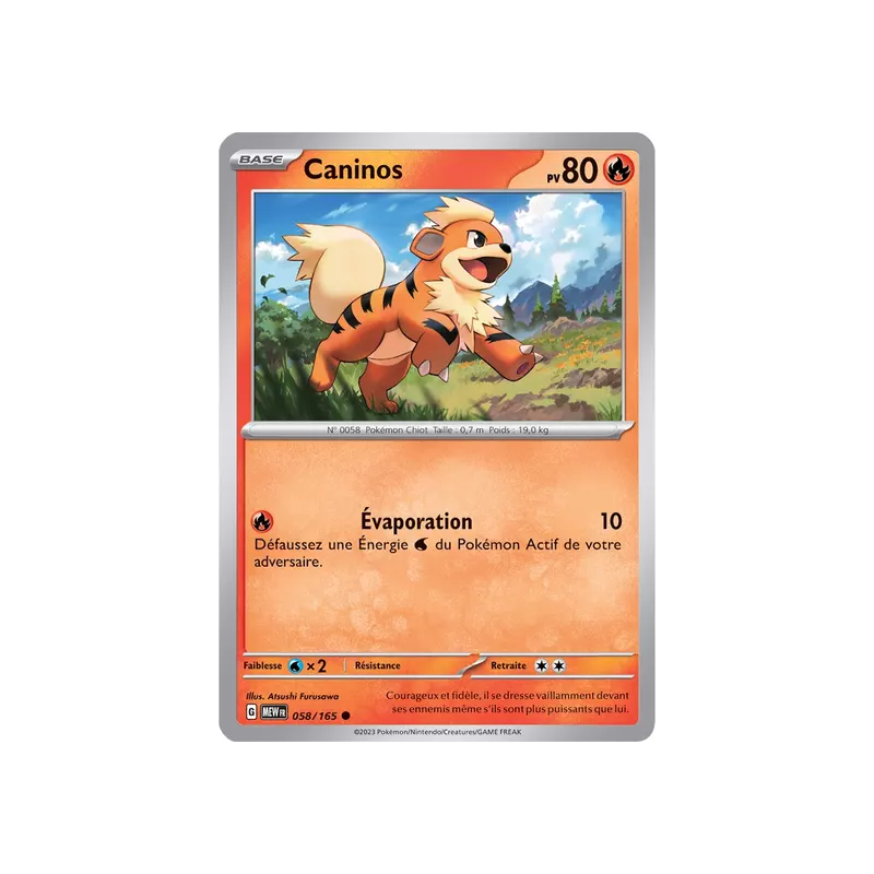 Caninos MEW - 058/165