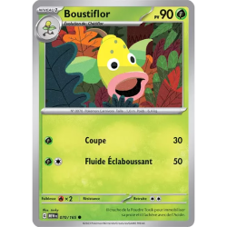 Boustiflor MEW - 070/165