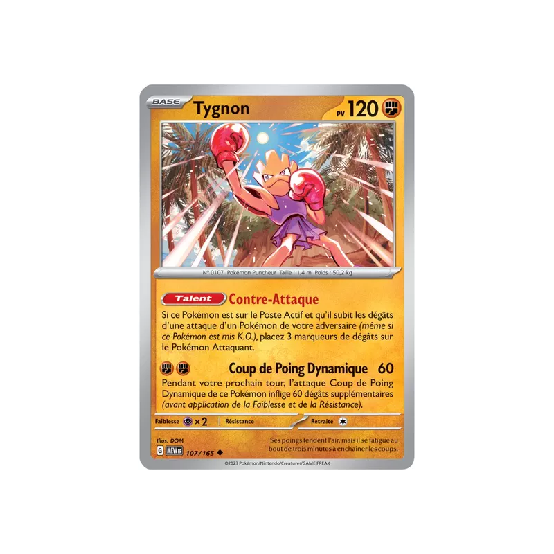 Tygnon MEW - 107/165