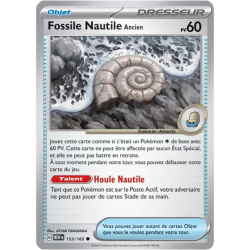 Fossile Nautile Ancien MEW - 153/165