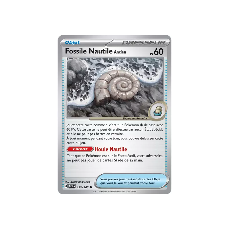 Fossile Nautile Ancien MEW - 153/165