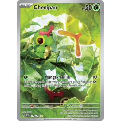 Chenipan MEW - 172/165