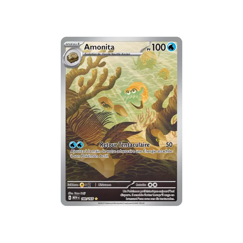 Amonita MEW - 180/165