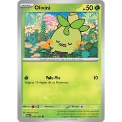 Olivini OBF - 019/197