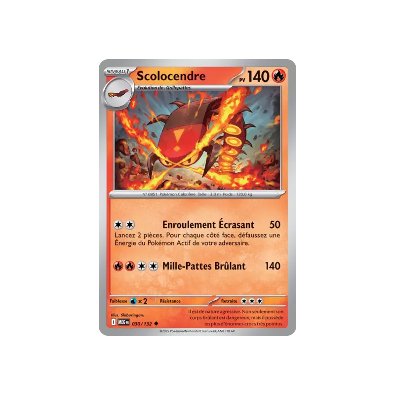 Scolocendre MEG - 030/132