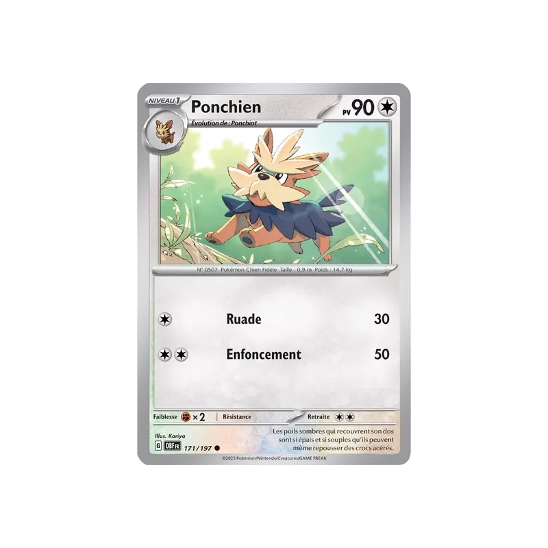 Ponchien OBF - 171/197