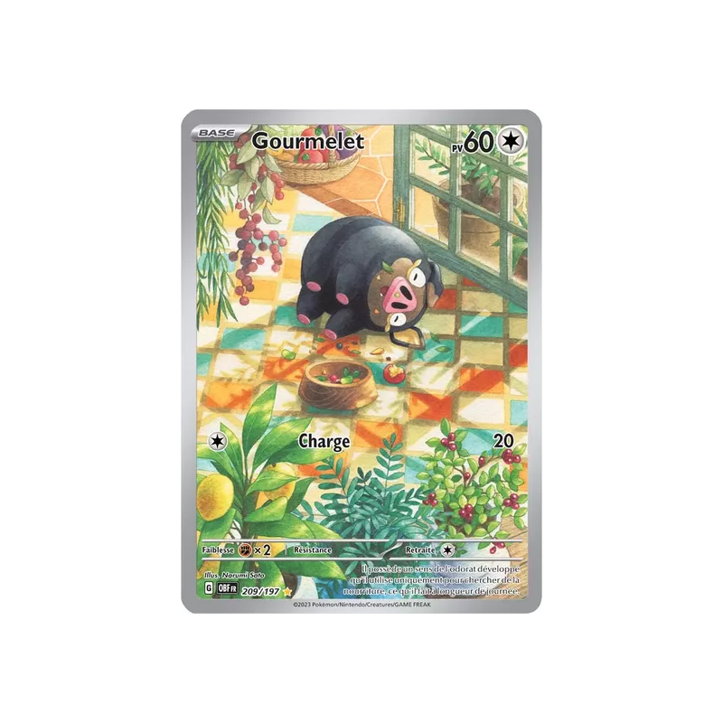 Gourmelet OBF - 209/197