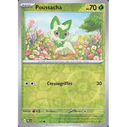 Poussacha (Reverse Holo) PAL - 013/193