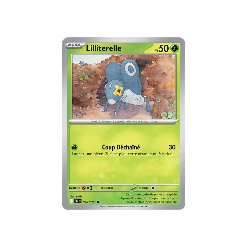 Lilliterelle PAL - 020/193