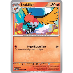 Braisillon PAL - 029/193
