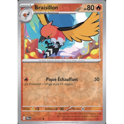 Braisillon (Reverse Holo) PAL - 029/193