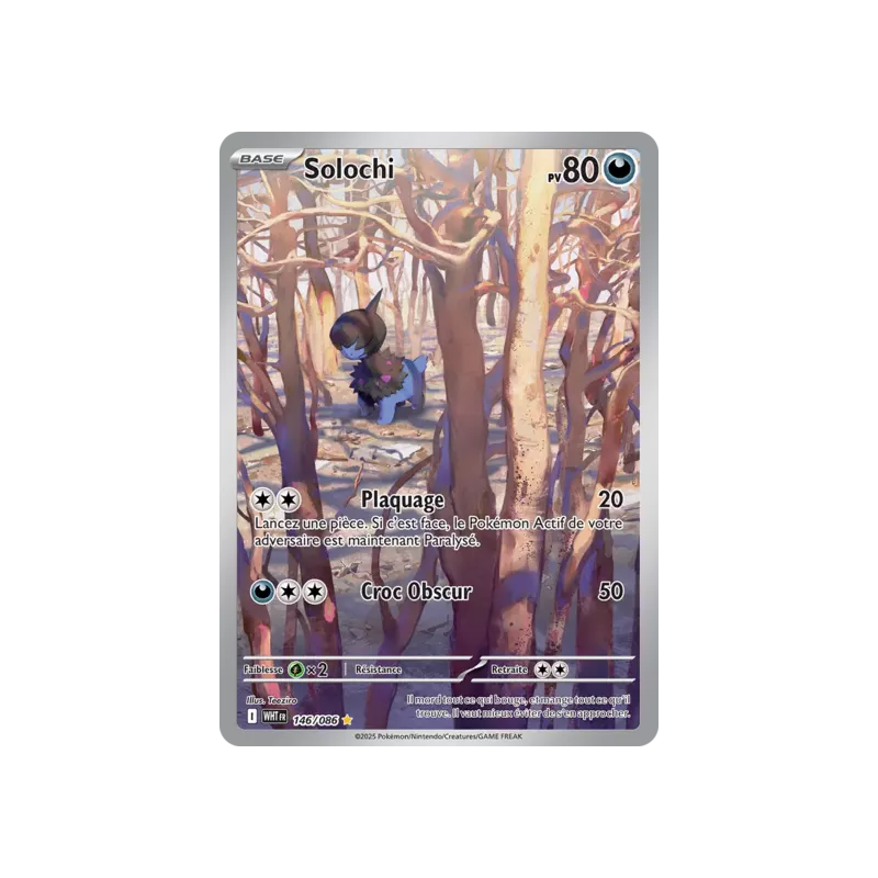 Solochi WHT - 146/086