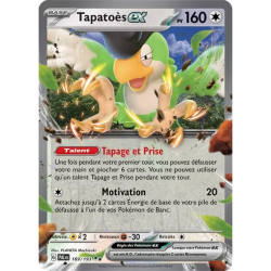 Tapatoès EX PAL - 169/193