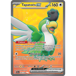 Tapatoès EX PAL - 247/193