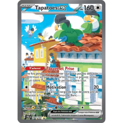 Tapatoès EX PAL - 264/193