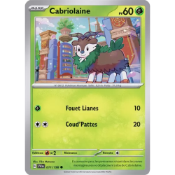 Cabriolaine SV01 - 011/198