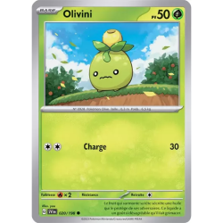 Olivini SV01 - 020/198