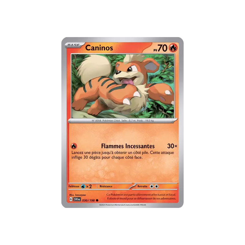 Caninos SV01 - 030/198