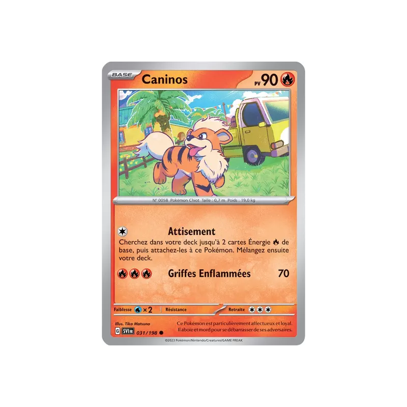 Caninos SV01 - 031/198
