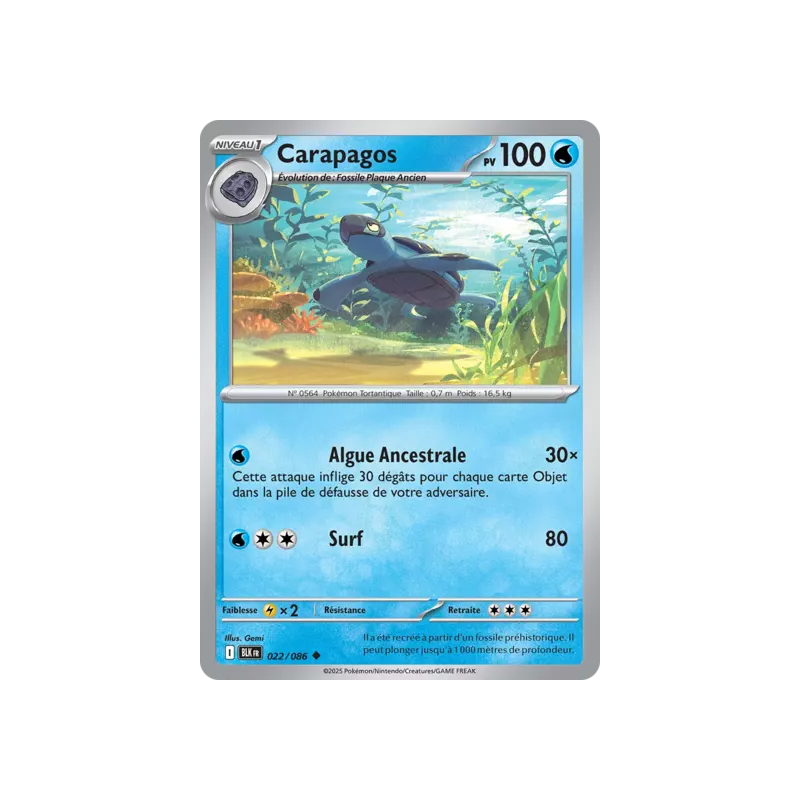 Carapagos BLK - 022/086