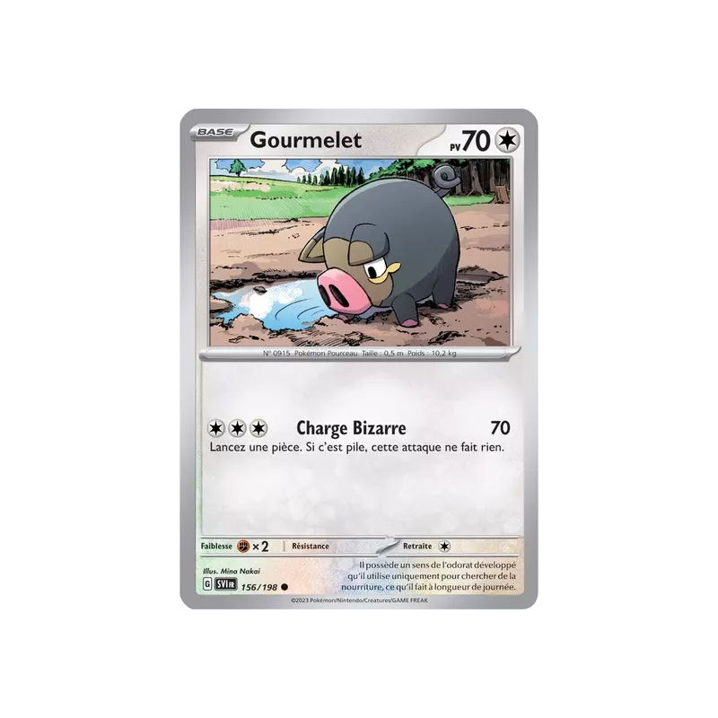 Gourmelet SV01 - 156/198