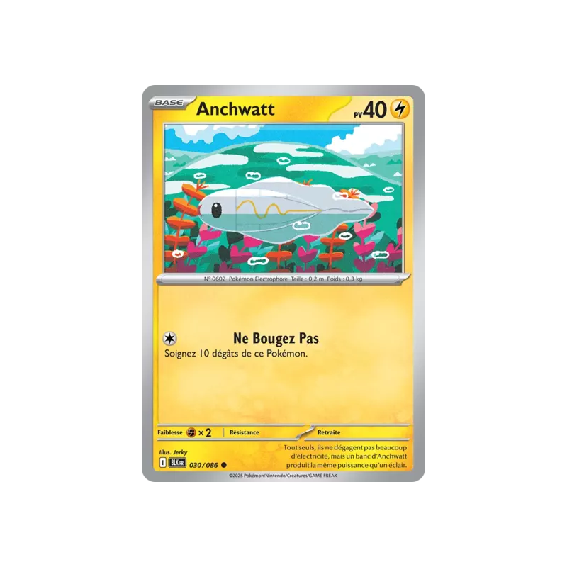 Anchwatt BLK - 030/086