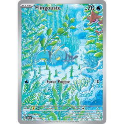 Flingouste SV01 - 205/198