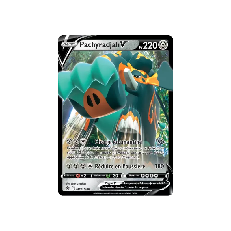 Pachyradjah V SWSH030