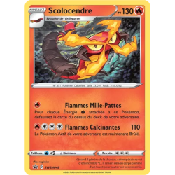 Scolocendre SWSH048