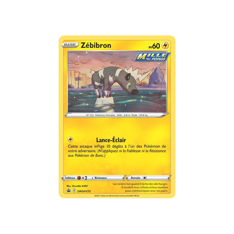 Zébibron SWSH173
