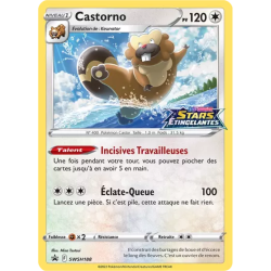 Castorno SWSH188