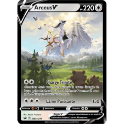 Arceus V SWSH204
