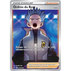 Ordres du Boss SWSH251